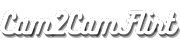 Cam2CamFlirt